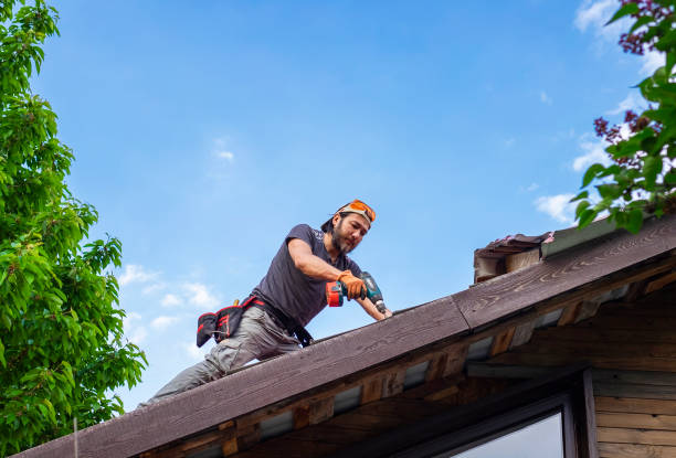 Best Metal Roofing Installation  in Brookland, AR